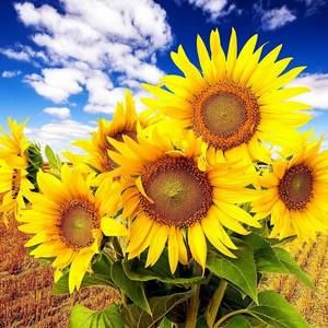 Meet your Posher, Vicki